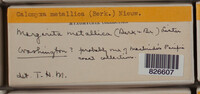 Image Associated With the Occurence